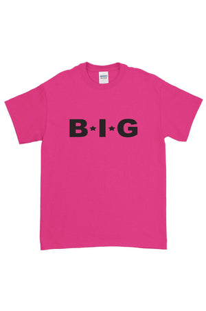 Big Little Star Font Gildan Short Sleeve, Ladies, Sunny and Southern, - Sunny and Southern,